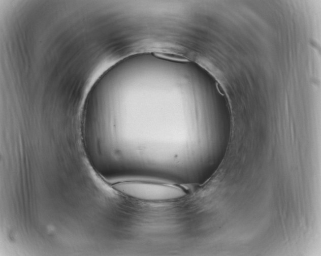 X0000097751152200803211646