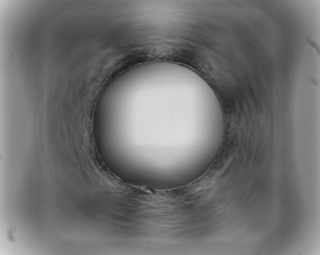 X0000097751153200803211645