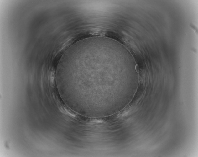 X0000097751154200803211645