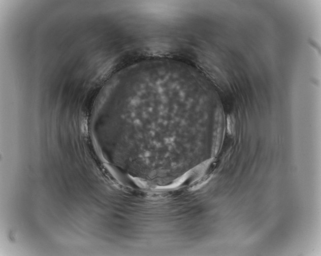 X0000097751155200803211645