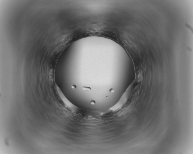 X0000097751156200803211645