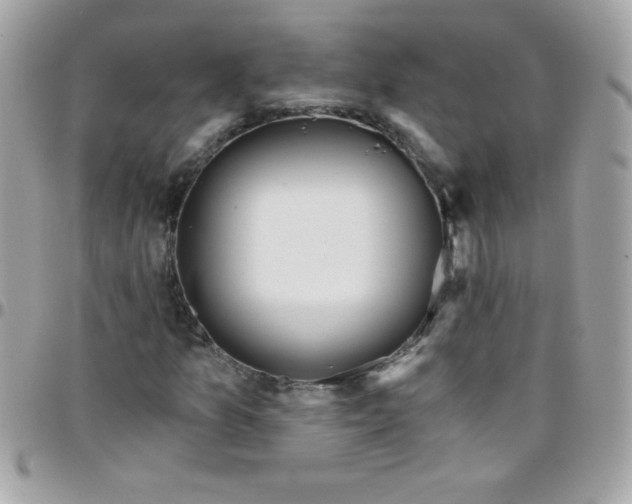 X0000097751157200803211645