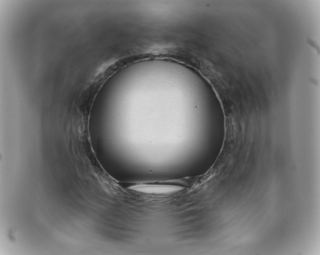 X0000097751158200803211645