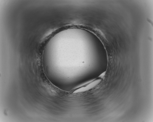 X0000097751159200803211645