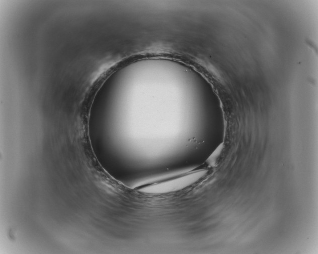 X0000097751160200803211645