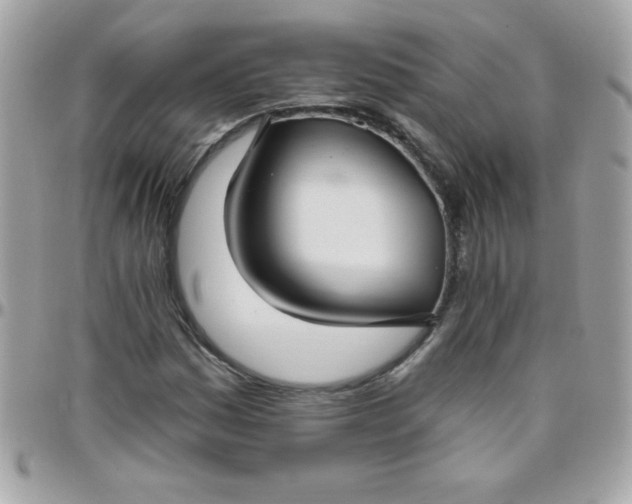 X0000097751161200803211645