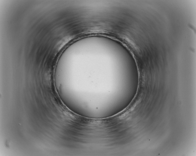 X0000097751162200803211645