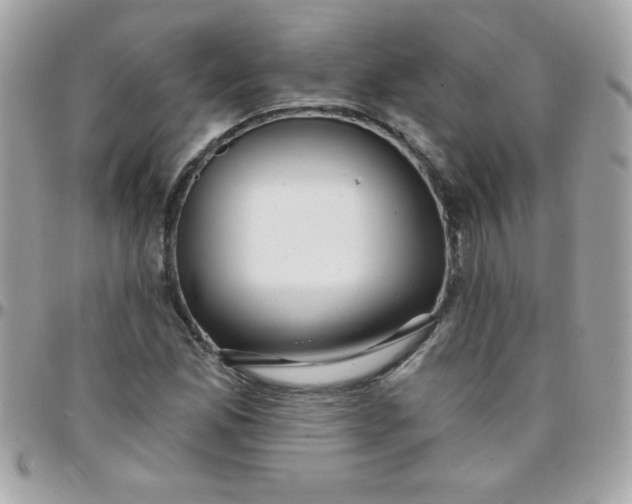 X0000097751165200803211645