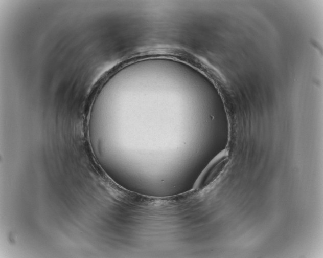 X0000097751166200803211645