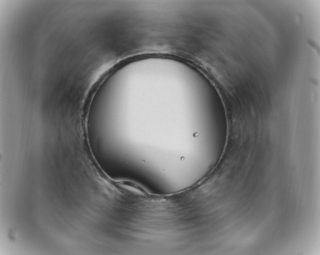 X0000097751168200803211645