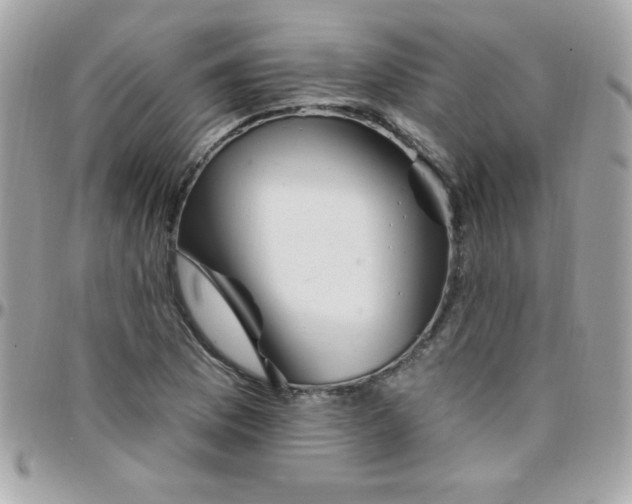 X0000097751169200803211645