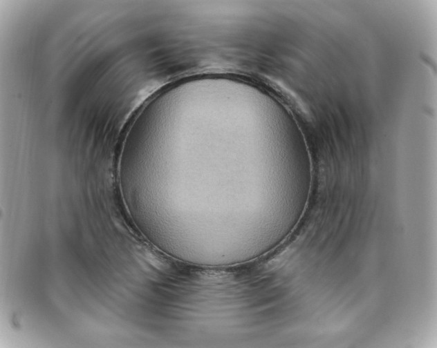 X0000097751170200803211645