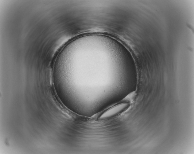 X0000097751171200803211645