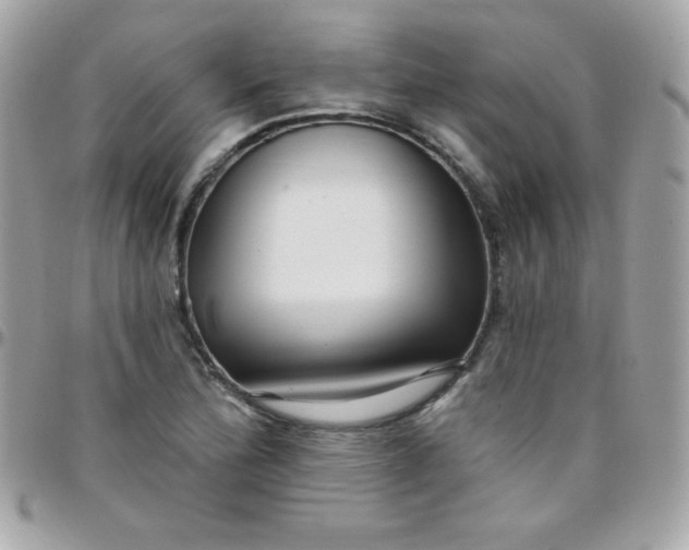 X0000097751172200803211645