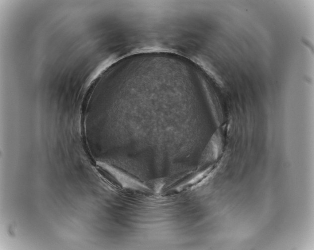 X0000097751173200803211645