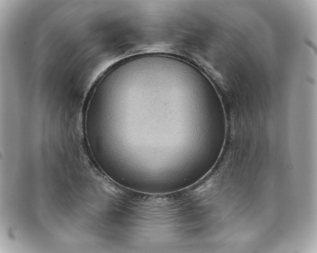 X0000097751174200803211645