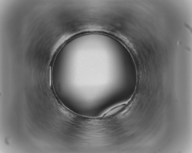 X0000097751175200803211645