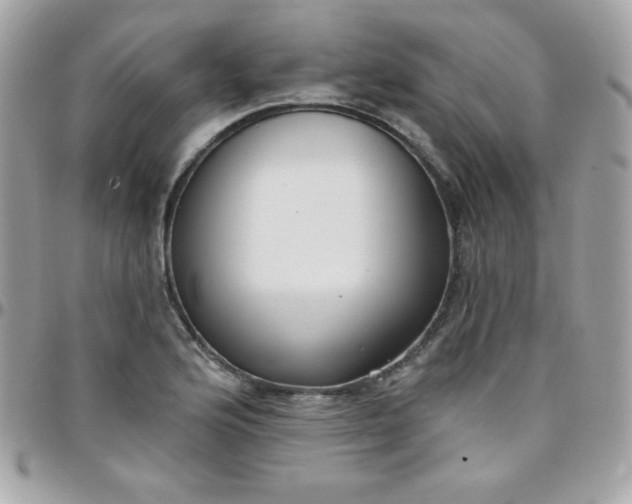 X0000097751176200803211645