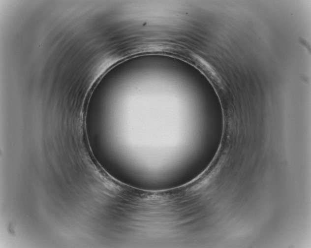 X0000097751178200803211645