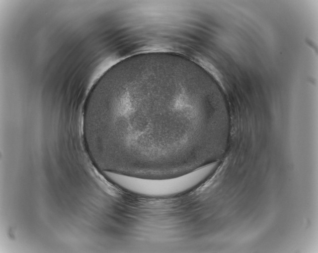 X0000097751179200803211645