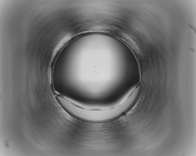 X0000097751180200803211645