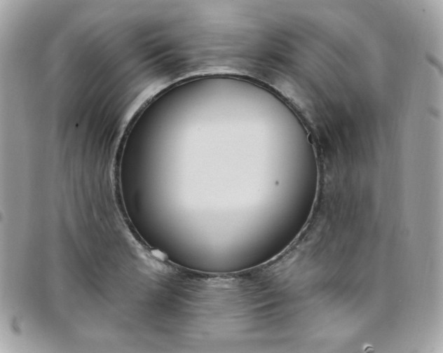 X0000097751181200803211645