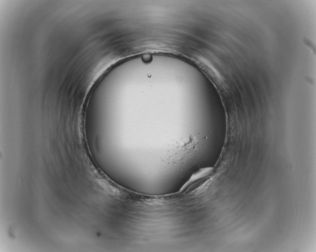 X0000097751182200803211645