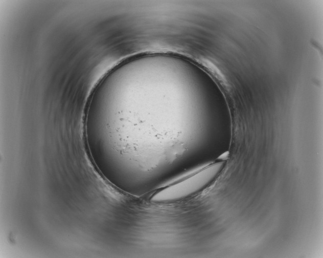 X0000097751183200803211645