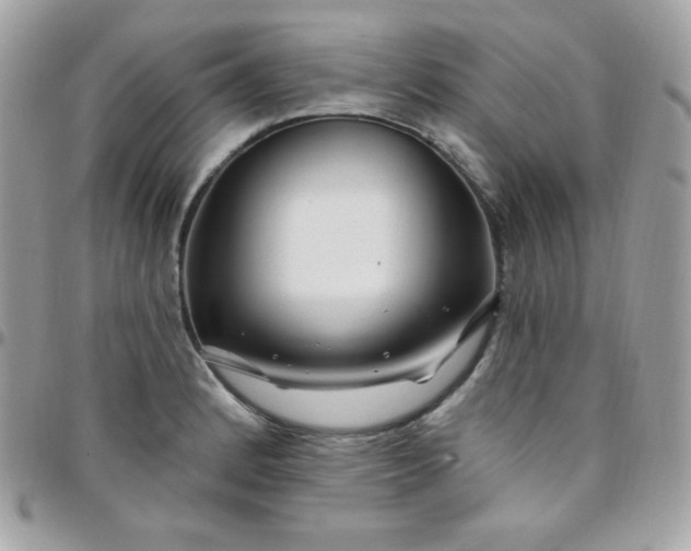 X0000097751184200803211645