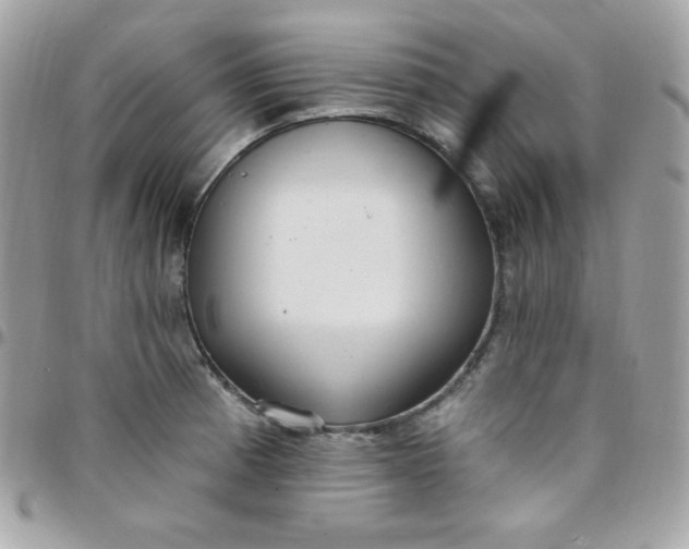 X0000097751185200803211645