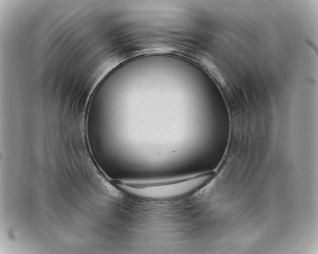 X0000097751186200803211645