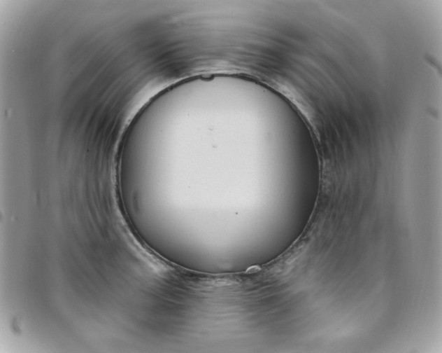 X0000097751187200803211645