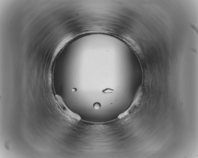 X0000097751188200803211645