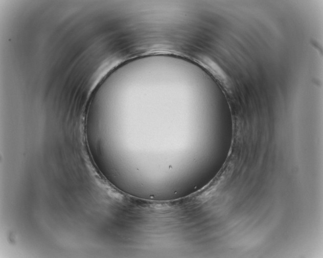 X0000097751190200803211645