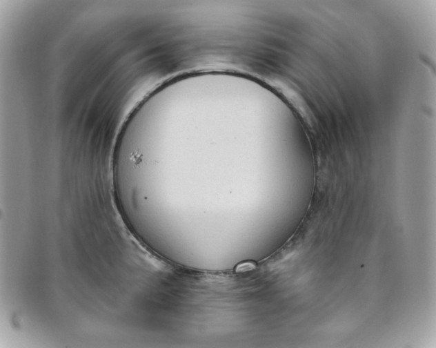 X0000097751191200803211645