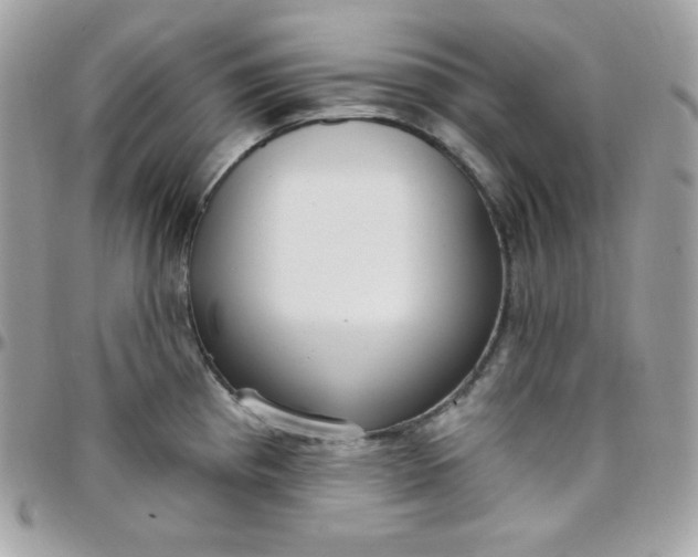 X0000097751193200803211645