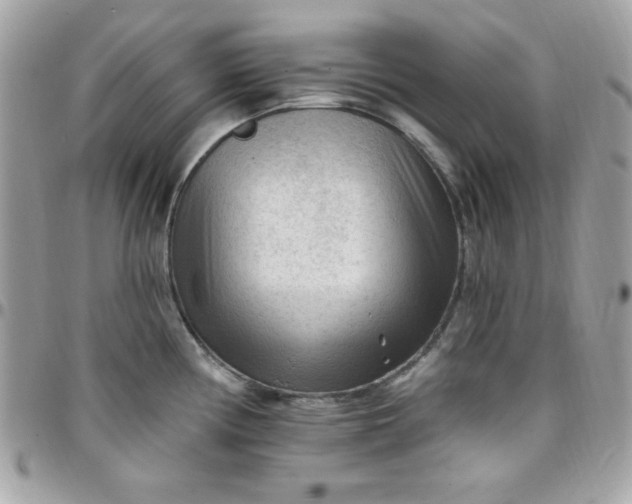 X0000097751194200803211645