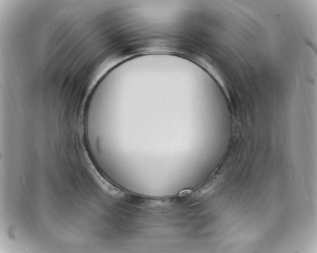 X0000097751195200803211645