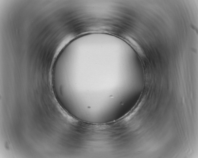 X0000097751196200803211645