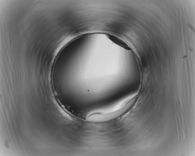 X0000097751197200803211645