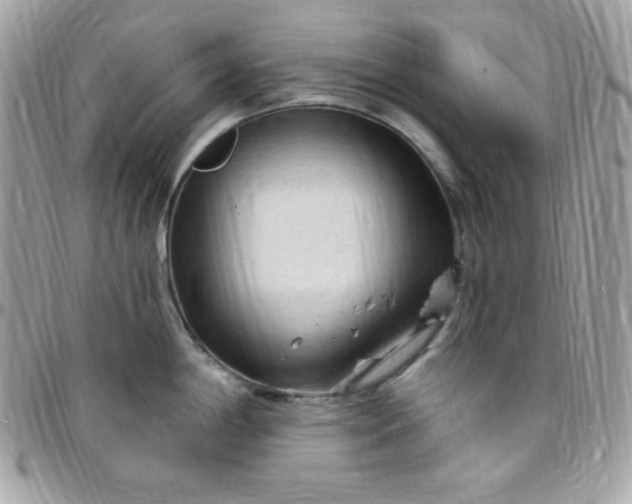 X0000097751198200803211645