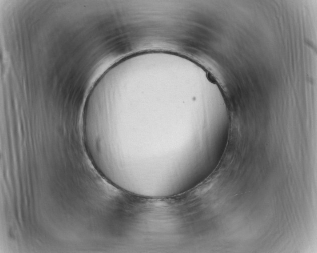 X0000097751199200803211645