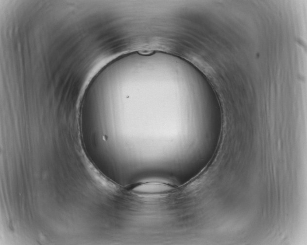 X0000097751200200803211645