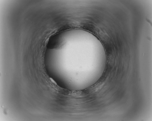 X0000097751201200803211644