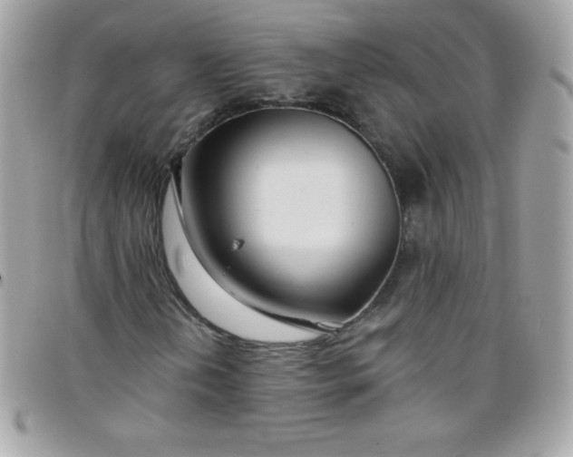 X0000097751202200803211644