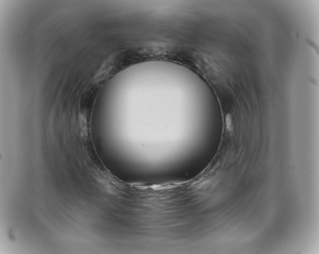 X0000097751203200803211644