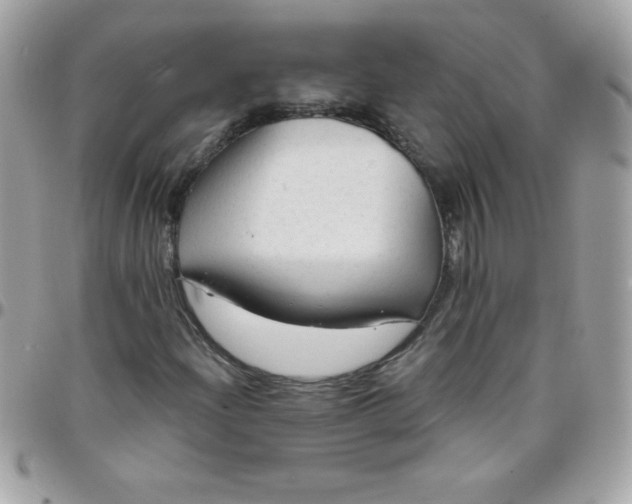 X0000097751204200803211644