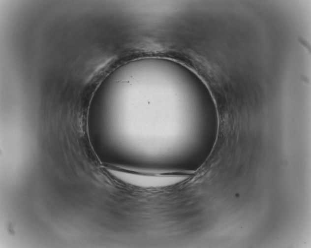 X0000097751205200803211644