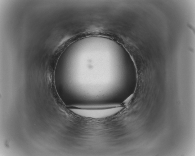 X0000097751206200803211644