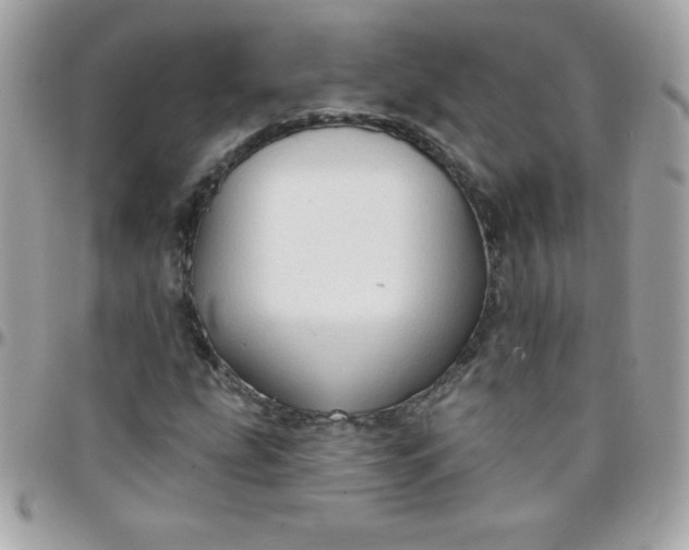 X0000097751207200803211644